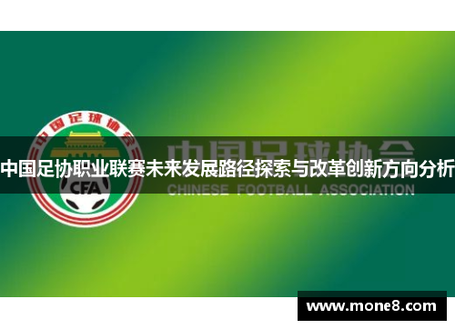中国足协职业联赛未来发展路径探索与改革创新方向分析