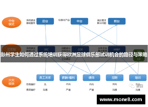 彭州学生如何通过系统培训获得欧洲足球俱乐部试训机会的路径与策略